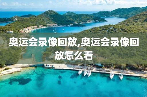 奥运会录像回放,奥运会录像回放怎么看