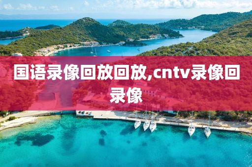 国语录像回放回放,cntv录像回录像