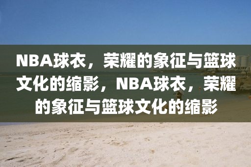 NBA球衣，荣耀的象征与篮球文化的缩影，NBA球衣，荣耀的象征与篮球文化的缩影