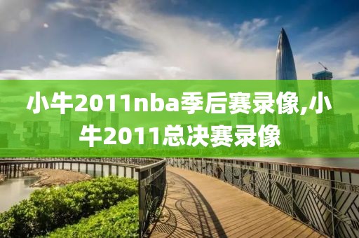 小牛2011nba季后赛录像,小牛2011总决赛录像