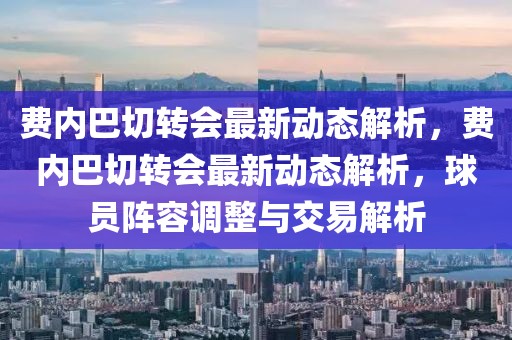 费内巴切转会最新动态解析，费内巴切转会最新动态解析，球员阵容调整与交易解析