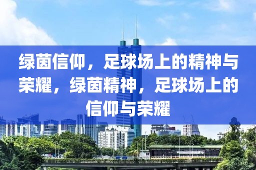 绿茵信仰，足球场上的精神与荣耀，绿茵精神，足球场上的信仰与荣耀