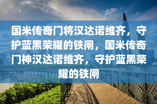 国米传奇门将汉达诺维齐，守护蓝黑荣耀的铁闸，国米传奇门神汉达诺维齐，守护蓝黑荣耀的铁闸