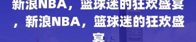 新浪NBA，篮球迷的狂欢盛宴，新浪NBA，篮球迷的狂欢盛宴