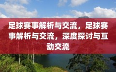 足球赛事解析与交流，足球赛事解析与交流，深度探讨与互动交流