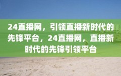 24直播网，引领直播新时代的先锋平台，24直播网，直播新时代的先锋引领平台