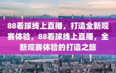 88看球线上直播，打造全新观赛体验，88看球线上直播，全新观赛体验的打造之旅