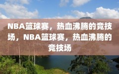 NBA篮球赛，热血沸腾的竞技场，NBA篮球赛，热血沸腾的竞技场