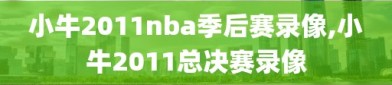 小牛2011nba季后赛录像,小牛2011总决赛录像