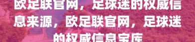 欧足联官网，足球迷的权威信息来源，欧足联官网，足球迷的权威信息宝库