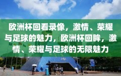 欧洲杯回看录像，激情、荣耀与足球的魅力，欧洲杯回眸，激情、荣耀与足球的无限魅力