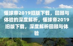 懂球帝2019旧版下载，回顾与体验的深度解析，懂球帝2019旧版下载，深度解析回顾与体验