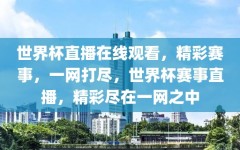 世界杯直播在线观看，精彩赛事，一网打尽，世界杯赛事直播，精彩尽在一网之中