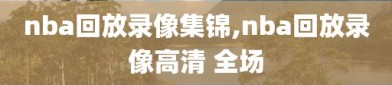 nba回放录像集锦,nba回放录像高清 全场