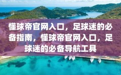 懂球帝官网入口，足球迷的必备指南，懂球帝官网入口，足球迷的必备导航工具