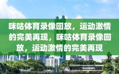 咪咕体育录像回放，运动激情的完美再现，咪咕体育录像回放，运动激情的完美再现