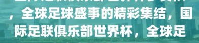 国际足联俱乐部世界杯参赛队，全球足球盛事的精彩集结，国际足联俱乐部世界杯，全球足球盛事的精彩集结