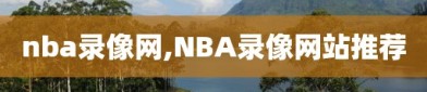 nba录像网,NBA录像网站推荐