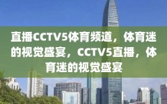 直播CCTV5体育频道，体育迷的视觉盛宴，CCTV5直播，体育迷的视觉盛宴