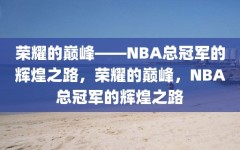 荣耀的巅峰——NBA总冠军的辉煌之路，荣耀的巅峰，NBA总冠军的辉煌之路