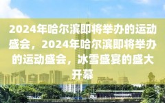 2024年哈尔滨即将举办的运动盛会，2024年哈尔滨即将举办的运动盛会，冰雪盛宴的盛大开幕