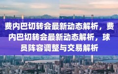 费内巴切转会最新动态解析，费内巴切转会最新动态解析，球员阵容调整与交易解析