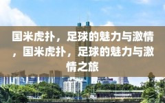 国米虎扑，足球的魅力与激情，国米虎扑，足球的魅力与激情之旅