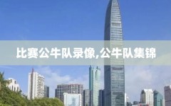 比赛公牛队录像,公牛队集锦