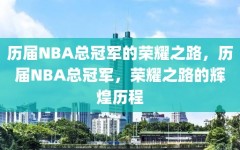 历届NBA总冠军的荣耀之路，历届NBA总冠军，荣耀之路的辉煌历程