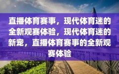 直播体育赛事，现代体育迷的全新观赛体验，现代体育迷的新宠，直播体育赛事的全新观赛体验