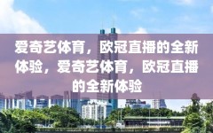 爱奇艺体育，欧冠直播的全新体验，爱奇艺体育，欧冠直播的全新体验