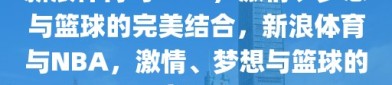 新浪体育与NBA，激情、梦想与篮球的完美结合，新浪体育与NBA，激情、梦想与篮球的交汇点