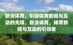 新浪体育，引领体育新闻与互动的先锋，新浪体育，体育新闻与互动的引领者