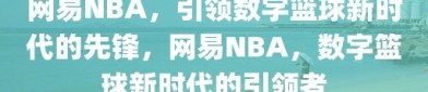 网易NBA，引领数字篮球新时代的先锋，网易NBA，数字篮球新时代的引领者