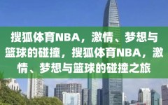 搜狐体育NBA，激情、梦想与篮球的碰撞，搜狐体育NBA，激情、梦想与篮球的碰撞之旅