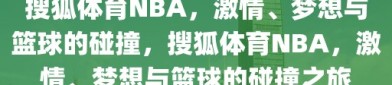 搜狐体育NBA，激情、梦想与篮球的碰撞，搜狐体育NBA，激情、梦想与篮球的碰撞之旅