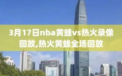 3月17日nba黄蜂vs热火录像回放,热火黄蜂全场回放