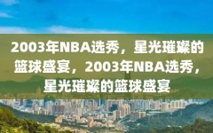 2003年NBA选秀，星光璀璨的篮球盛宴，2003年NBA选秀，星光璀璨的篮球盛宴