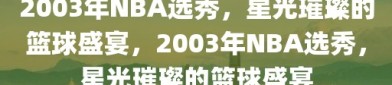 2003年NBA选秀，星光璀璨的篮球盛宴，2003年NBA选秀，星光璀璨的篮球盛宴