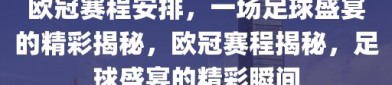 欧冠赛程安排，一场足球盛宴的精彩揭秘，欧冠赛程揭秘，足球盛宴的精彩瞬间