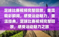 足球比赛视频完整回放，重温精彩瞬间，感受运动魅力，重温经典，足球比赛视频完整回放，感受运动魅力之旅