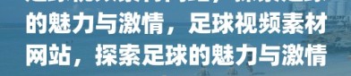 足球视频素材网站，探索足球的魅力与激情，足球视频素材网站，探索足球的魅力与激情之旅