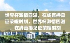 世界杯激情四溢，在线直播见证荣耀时刻，世界杯激情四溢，在线直播见证荣耀时刻