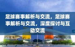 足球赛事解析与交流，足球赛事解析与交流，深度探讨与互动交流