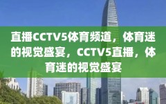 直播CCTV5体育频道，体育迷的视觉盛宴，CCTV5直播，体育迷的视觉盛宴