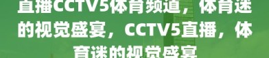 直播CCTV5体育频道，体育迷的视觉盛宴，CCTV5直播，体育迷的视觉盛宴