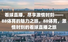 看球直播，尽享激情时刻——88体育的魅力之旅，88体育，激情时刻的看球直播之旅