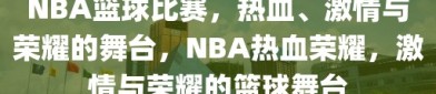 NBA篮球比赛，热血、激情与荣耀的舞台，NBA热血荣耀，激情与荣耀的篮球舞台