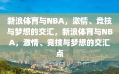 新浪体育与NBA，激情、竞技与梦想的交汇，新浪体育与NBA，激情、竞技与梦想的交汇点