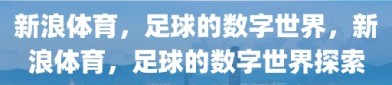 新浪体育，足球的数字世界，新浪体育，足球的数字世界探索